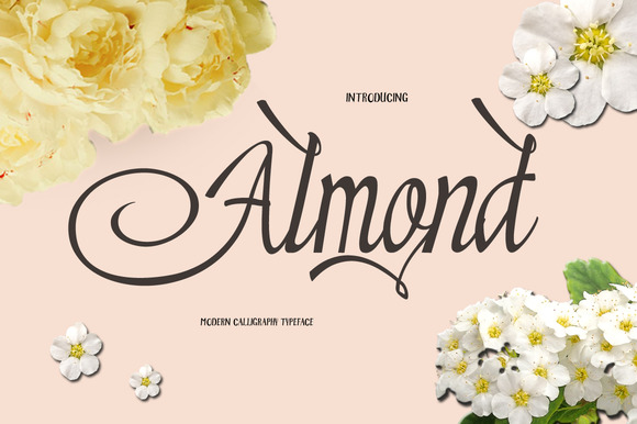 Almond: A Brush Script Font for Modern, Authentic Design