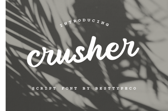 Crusher: The Sincere Script for DIY and Beyond