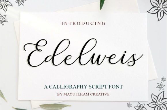Edelweis: Elevating Designs with a Touch of Luxury