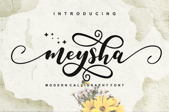 Meysha: The Handwritten Font for a Friendly Feel
